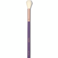 Colorbox Cosmetics Deluxe Highlighting Brush CB17