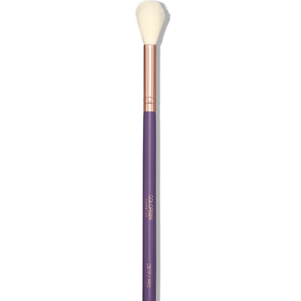 Colorbox Cosmetics Deluxe Highlighting Brush CB17